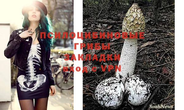 молекула духа Бугульма