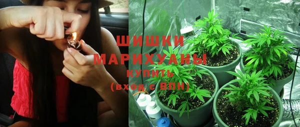 молекула духа Бугульма