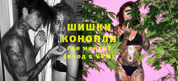молекула духа Бугульма