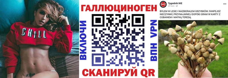 Галлюциногенные грибы Cubensis  где купить наркотик  Нижневартовск 