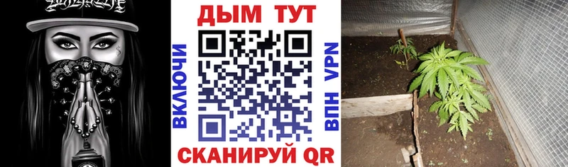 где купить наркотик  Нижневартовск  Конопля тримм 
